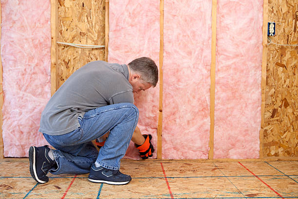 Best Basement Insulation  in Reedsburg, WI